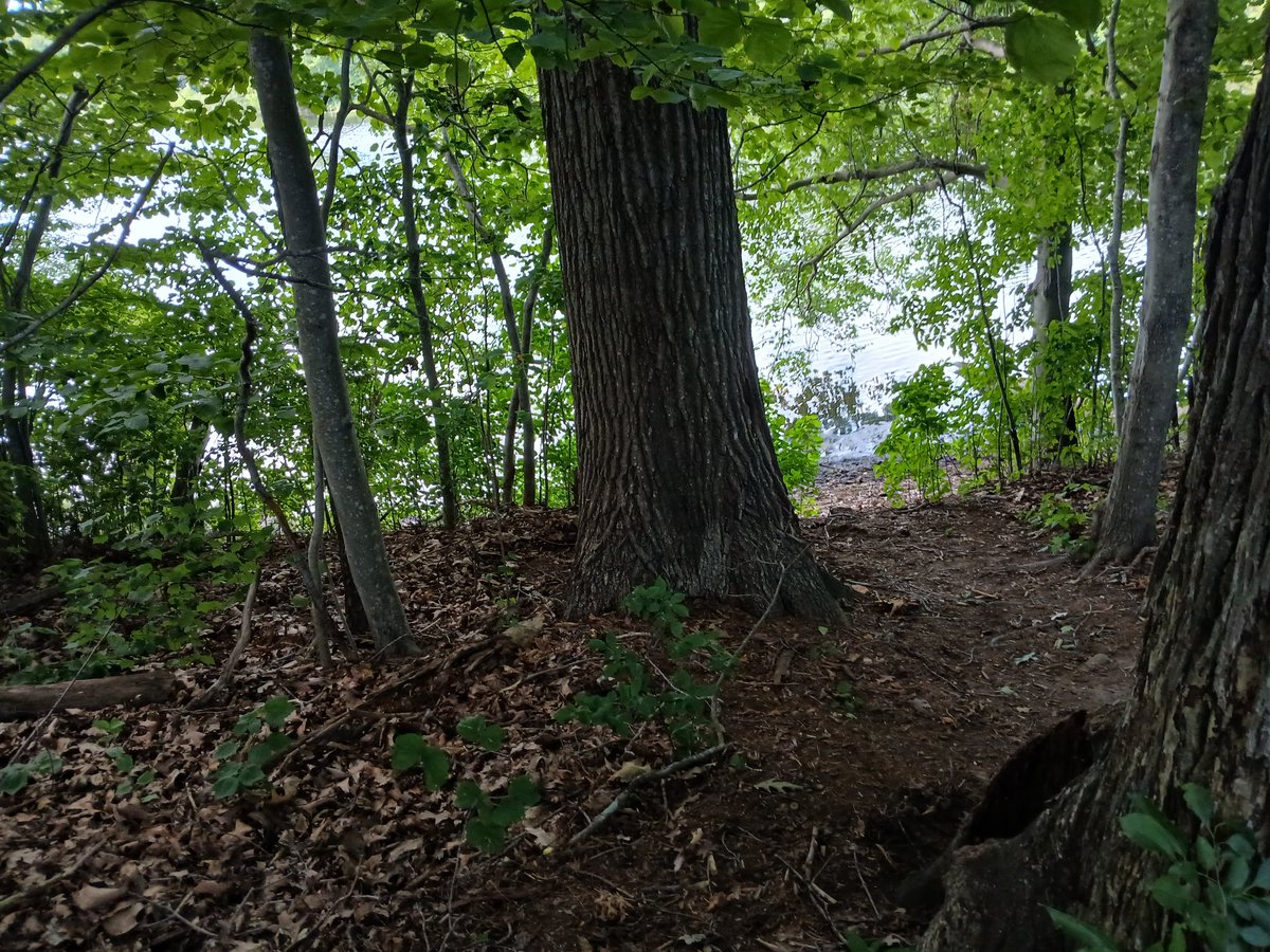 MrPhill_Good's tweet image. 