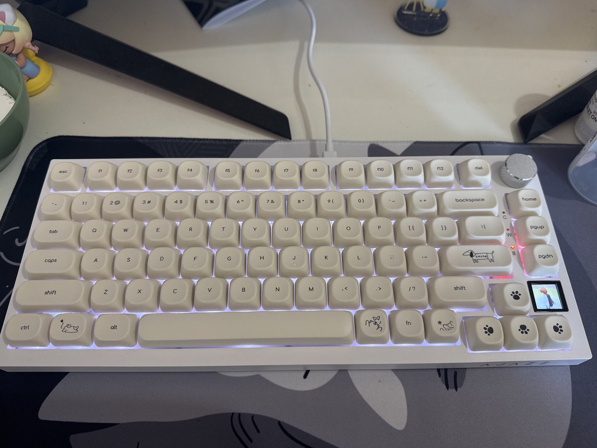 bleppykitty's tweet image. new keyboard hehe ^o^