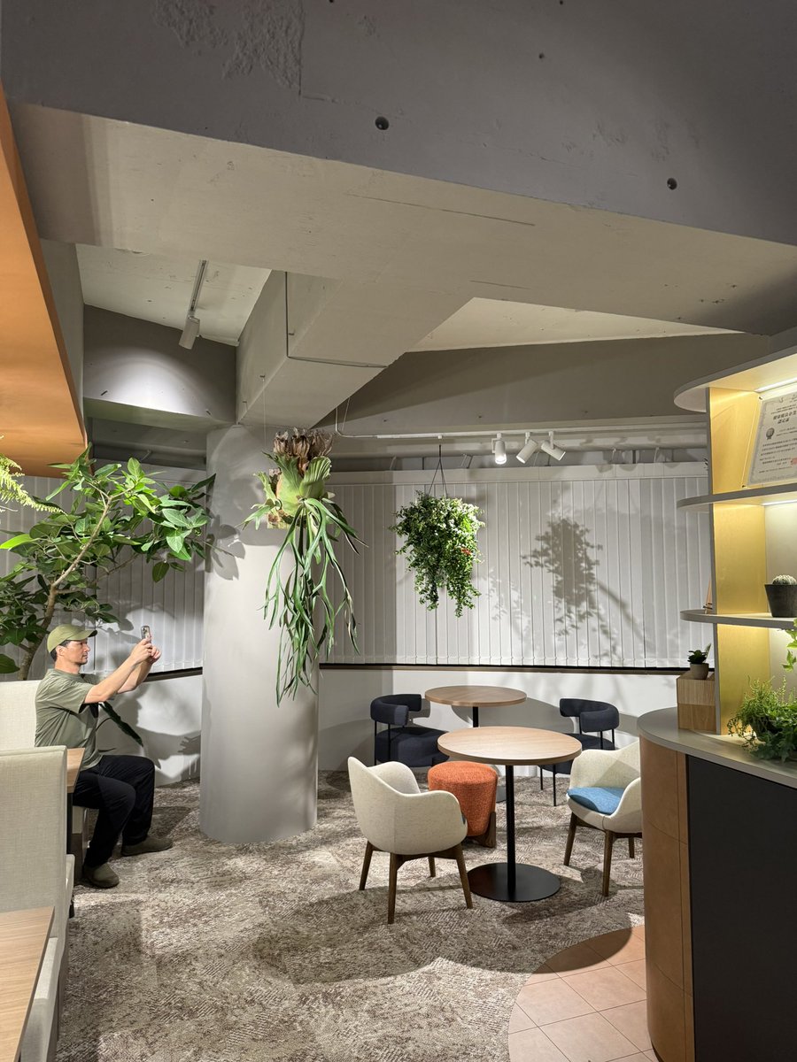 yohenity's tweet image. 新オフィスに植栽を、我が園芸チーム監修のもと、導入しました。社員にいくら掛かったのか、とか場所取りすぎなど詰められまくってますが、必死で耐えています。