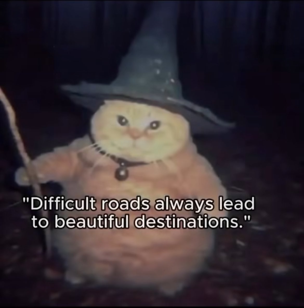 Thank you, magical wizard cat.
