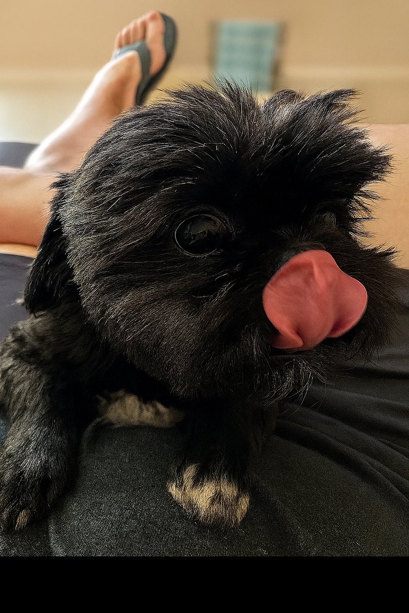 texandogdad's tweet image. Meeting a lot of the @points_matter crew for dinner at Fajita Flatts...
Fajitas...
Margaritas con leche...
And more...
Me right now....