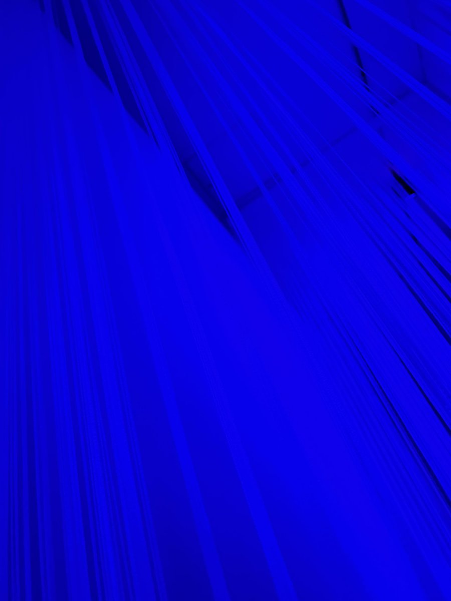 izwsaori's tweet image. 1999展に遊びに行ってきました🌌

「もう滅びればいいのに」と「もし滅びちゃったなら」が混ざった気持ち。

静かな美しさへの憧れ。
夏休みにぜひ🚃

1999-kioku.jp