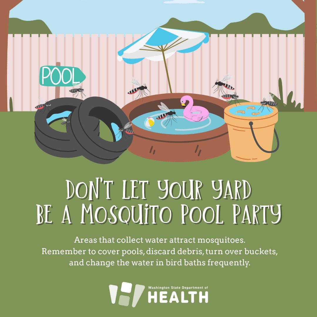 WADeptHealth's tweet image. Don’t let mosquitoes suck the fun out of your summer. Prevent them by minimizing areas that collect water around your yard:
💧 Cover pools
💧 Discard debris
💧 Turn over buckets
💧 Change water in bird baths frequently
Learn more at heyor.ca/SThOF2