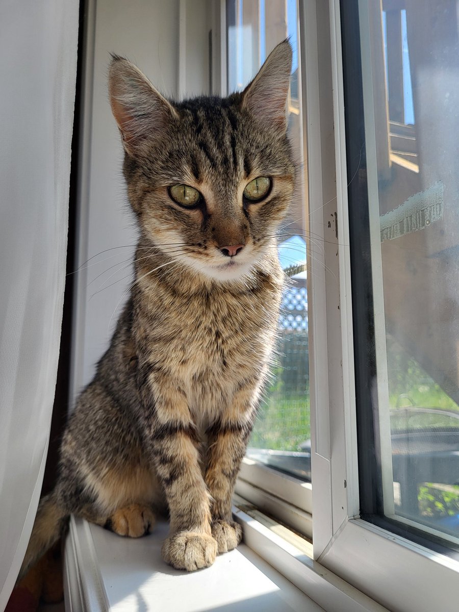 Trustmeimrussian tweet media