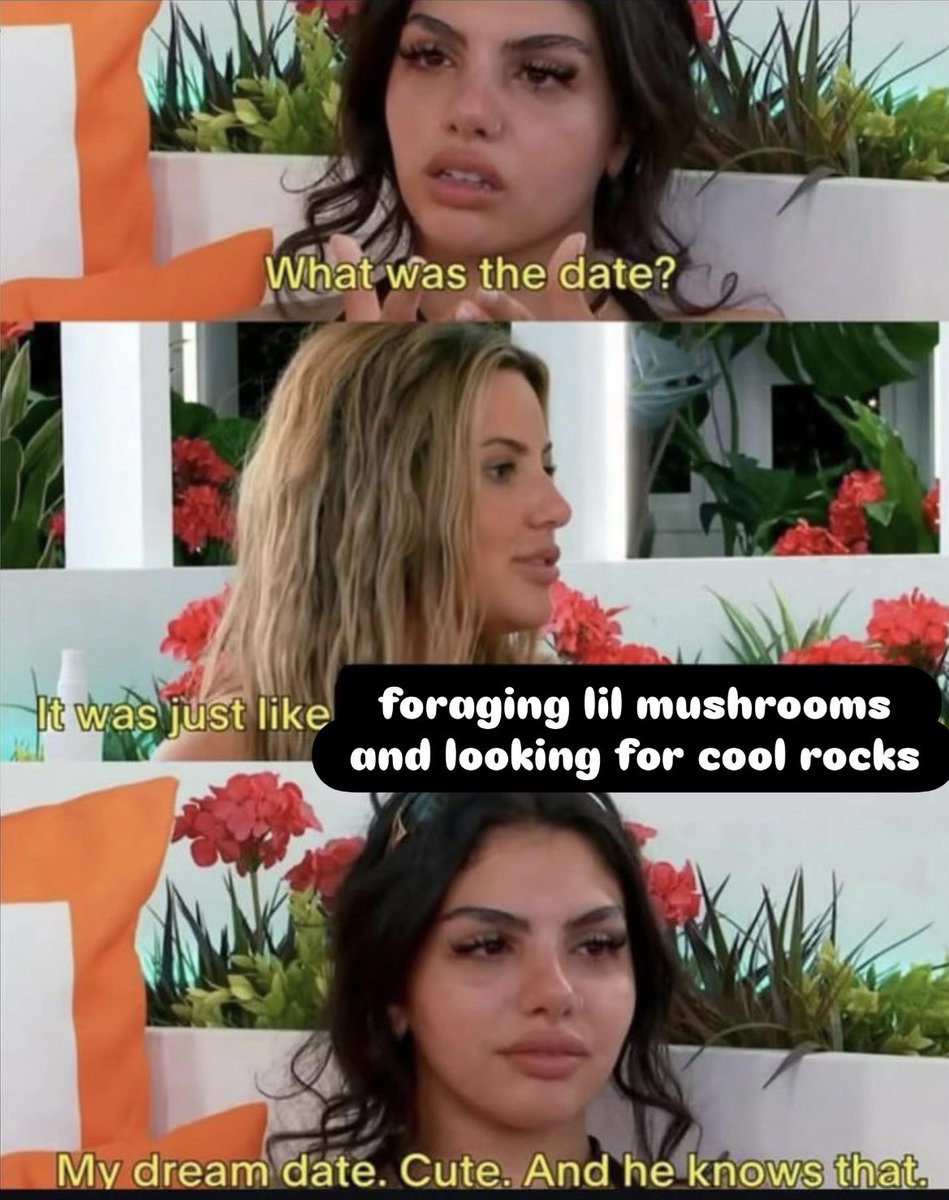 Alexis Nikole Nelson (@blackforager) on Twitter photo 