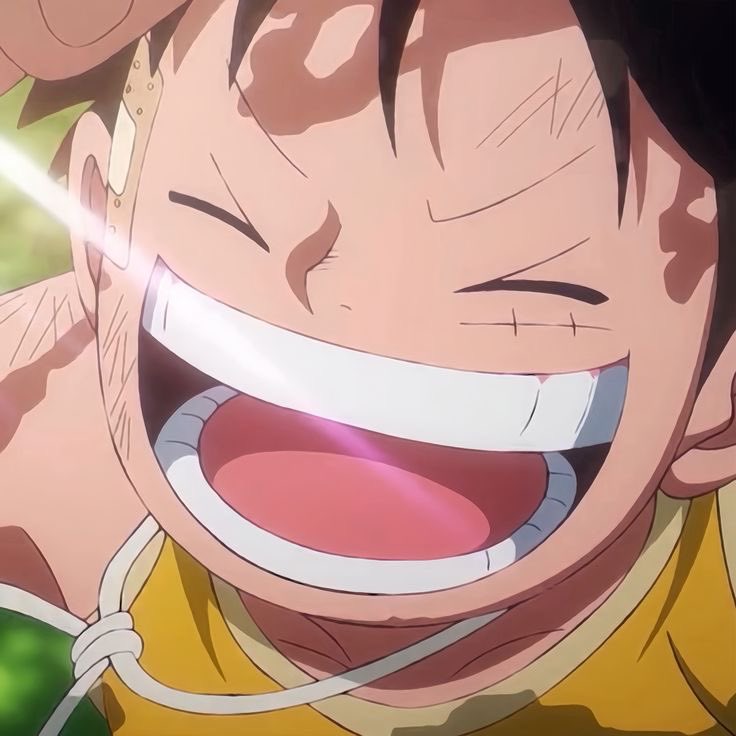 This is the most accurate description of luffy I’ve ever read