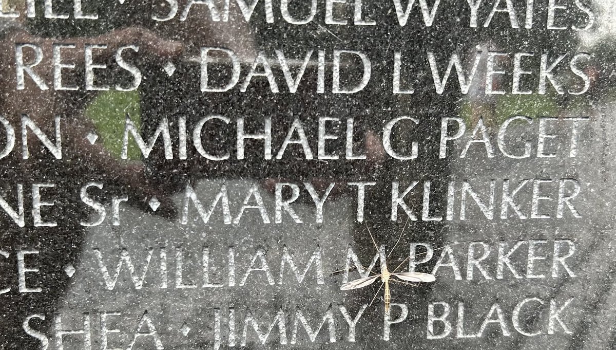 DonJBacon's tweet image. Another person to honor during my visit to the Vietnam War Wallโฆ Captain Mary Klinker died trying to rescue orphans out of Vietnam. The C-5 she was on crashed and she was the last nurse to give her life in the Vietnam War.
