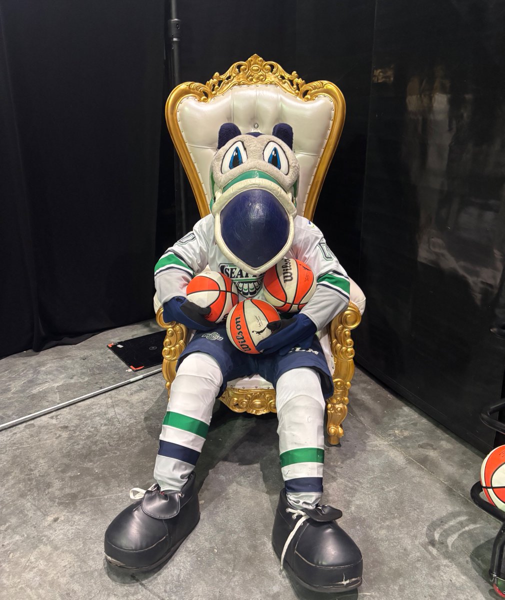 SeattleTbirds's tweet image. Cool Bird has never been to a @seattlestorm game where he doesn't have a ball 😉