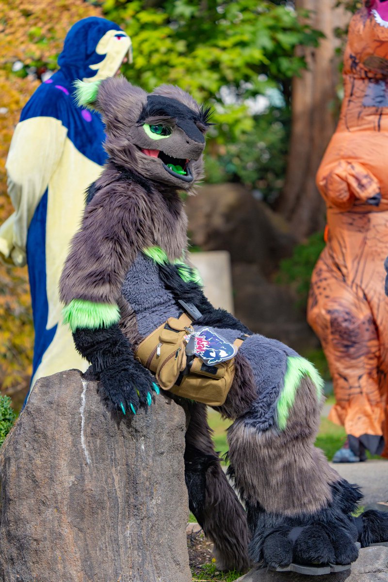 Is this seat available at IKEA?
#Sergal #FursuitFriday
📸: <a href="/trixx_rx/">Trix «PAWcon»</a>