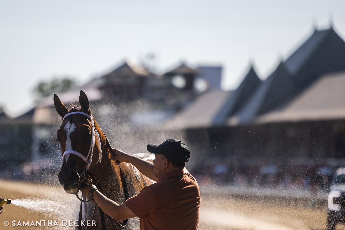 Congrats to the connections of Leslie's Rose, winner of the Grade II Shuvee Stakes at the Spa today! 

Shot for the <a href="/saratogaspecial/">The Saratoga Special</a>