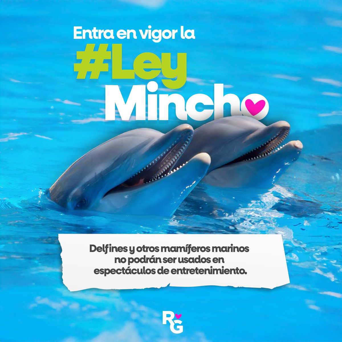 RuthGonzalezMx's tweet image. Hoy damos un paso histórico: pondremos fin al maltrato y sufrimiento de miles de mamíferos marinos en cautiverio. Es un acto de justicia, empatía y dignidad hacia seres que merecen vivir en libertad. 🐬🌊