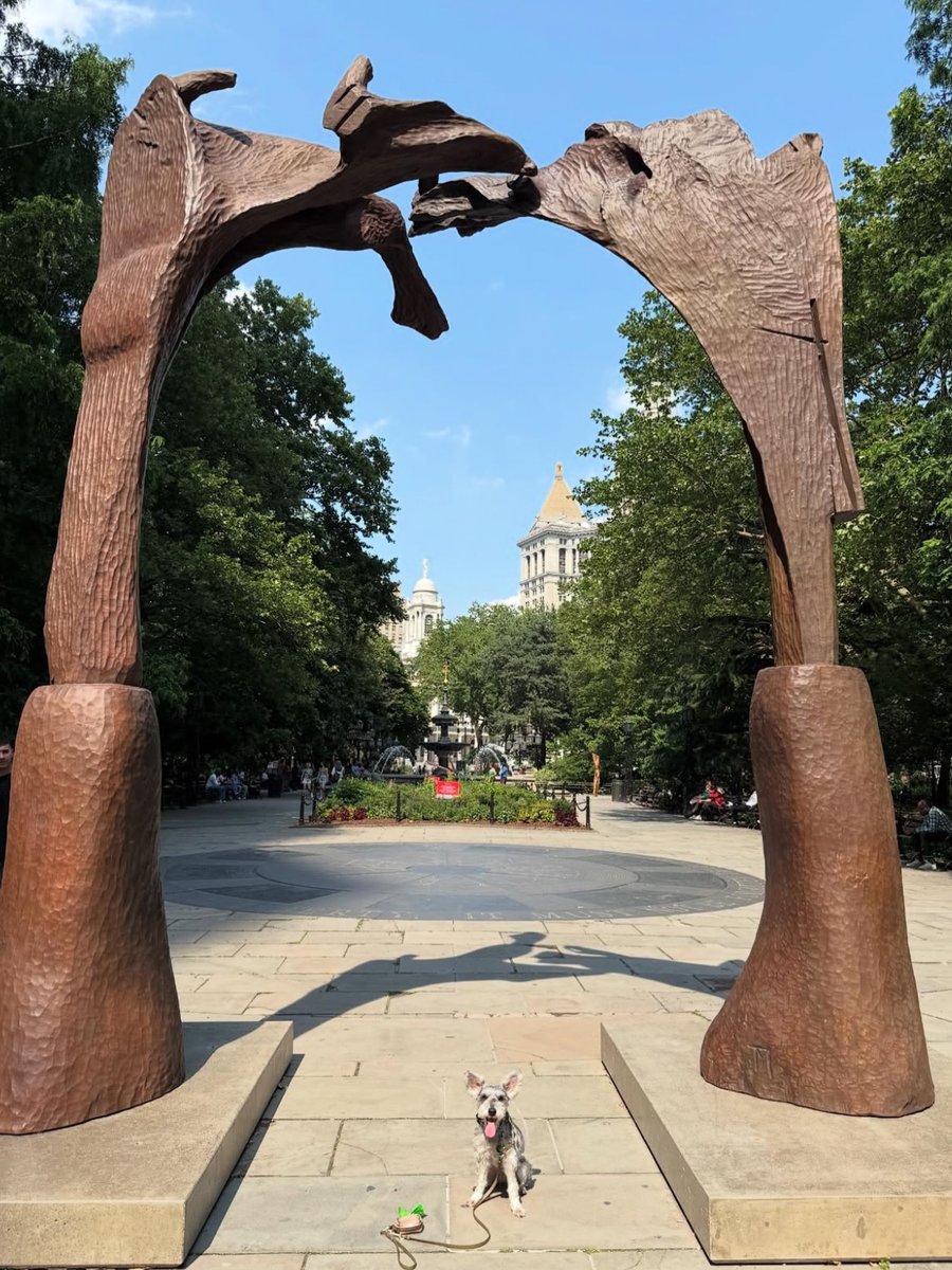 PublicArtFund's tweet image. #PAFpicoftheweek | Meet Olive! 🐶 This mini schnauzer is all smiles and excitement for Thaddeus Mosley’s “Gate III” in City Hall Park. A perfect mix of art, charm & canine charisma!
Take time to touch grass and visit “Touching the Earth” this weekend. 🐾
📸: @olive_and_the_city