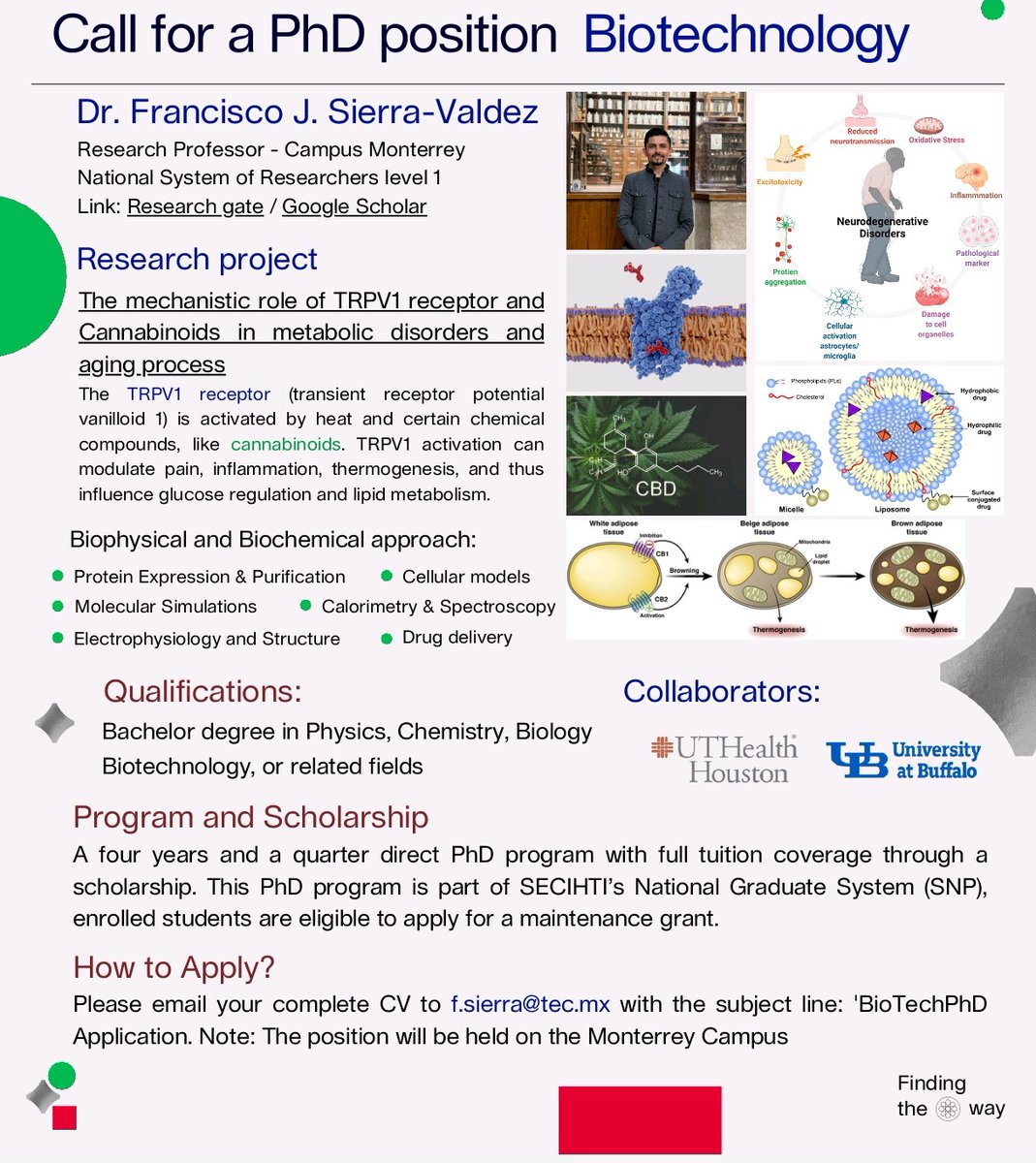 Centro de Biotecnología FEMSA (@cbftec) on Twitter photo 🔬 ¡Únete a la investigación en biotecnología!
Buscamos PhD para estudiar el papel del receptor TRPV1 y cannabinoides en desórdenes metabólicos y envejecimiento 🧬🔥
Beca completa | Campus Monterrey | CV a f.sierra@tec.mx
📌 Detalles en la imagen 🔬 ¡Únete a la investigación en biotecnología!
Buscamos PhD para estudiar el papel del receptor TRPV1 y cannabinoides en desórdenes metabólicos y envejecimiento 🧬🔥
Beca completa | Campus Monterrey | CV a f.sierra@tec.mx
📌 Detalles en la imagen