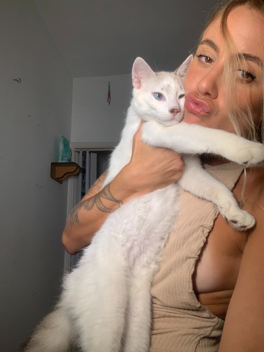 They say animals can sense energy. Funny how they always find me when I’m at my lowest. I think they know I need them more than they need me. #Cat #cheermeup