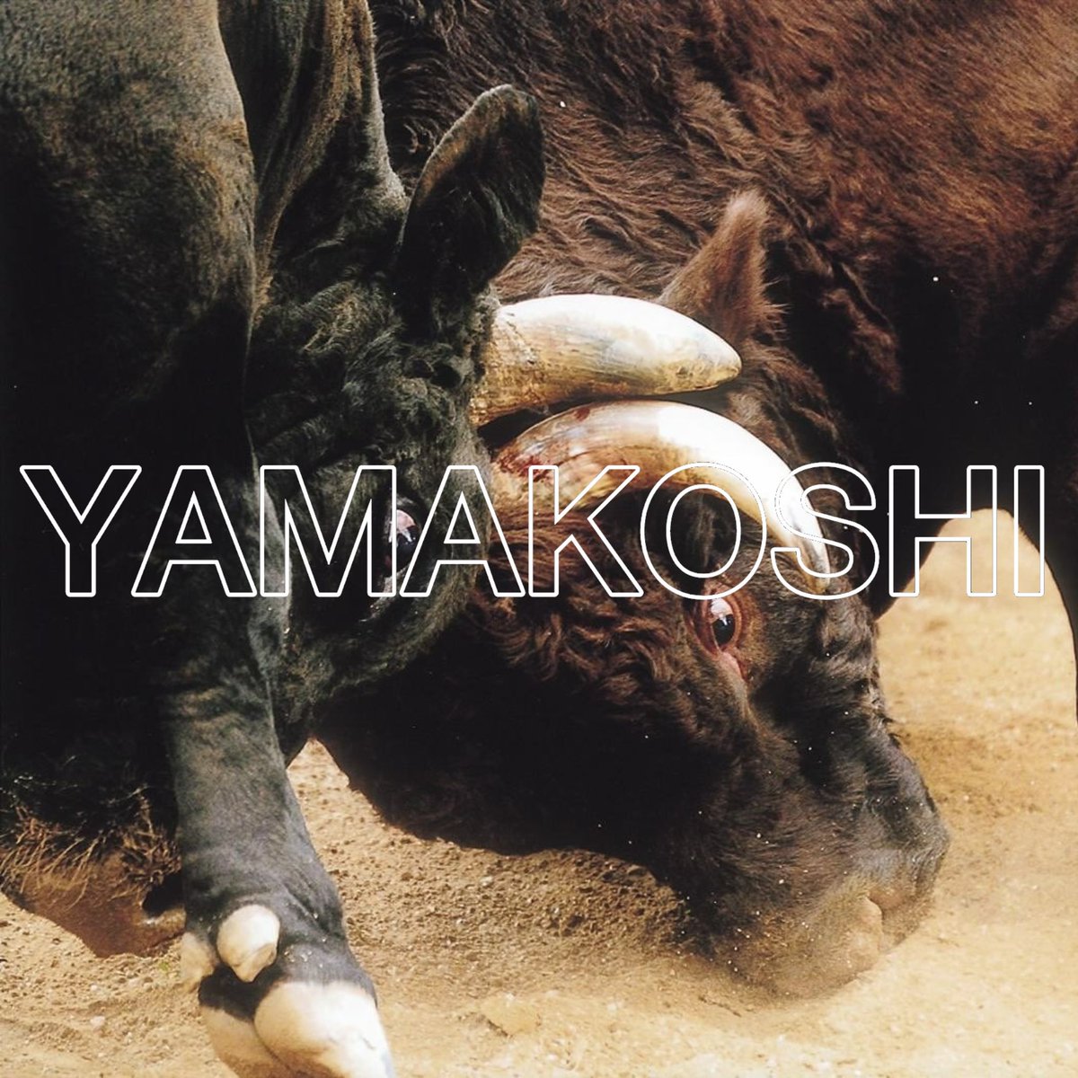 三連休ド真ん中

7/20(日) は
牛の角突き 大会開催日❗️

▼牛の角突き
nagaoka-navi.or.jp/event/1985

#牛の角突き #引き分けの文化 #ノーサイド #山古志 #長岡 #新潟