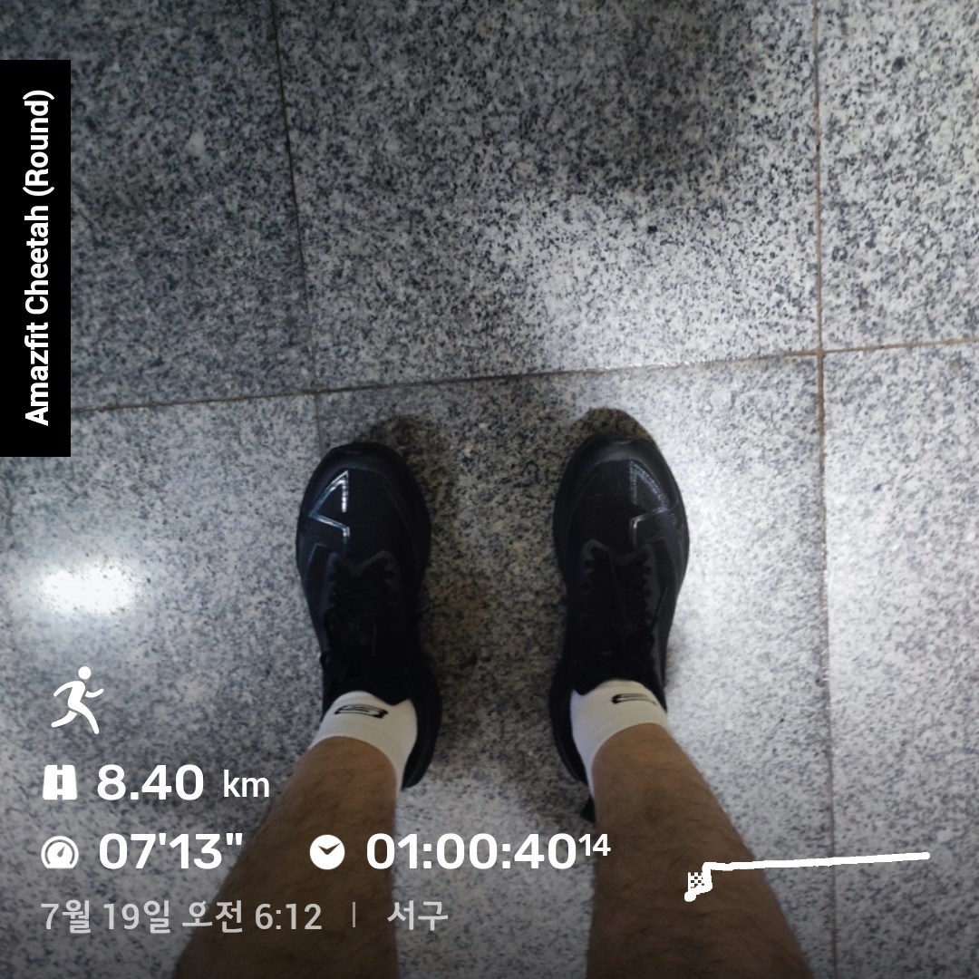 Pharm_N_Run's tweet image. 7월 19일 달리기🏃‍♀️🏃🏃‍♂️

비가 오긴 하지만~ 좀 소강되는 것 같아서 호다닥 달렸습니다. 비는 좀 오지만 선선하니, 좋네요~

잠결에 핸드폰으로 기사를 보다가 공시지가를 올린데서 정신이 번쩍들어서 일어났습니다🥲

굿모닝 굳데이👋