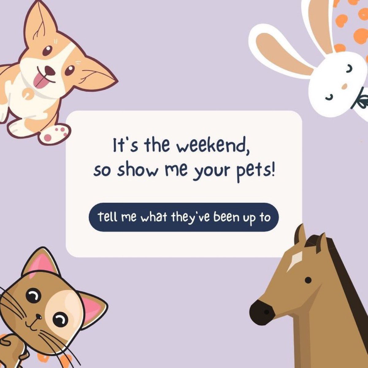 VetPathophile's tweet photo. 🚨PET CHECKPOINT!🚨
You know the drill…. It’s the weekend, so SHOW ME YOUR PETS IMMEDIATELY, whoever you are!
#PetsOfPathology https://t.co/hfUEhFc9F3