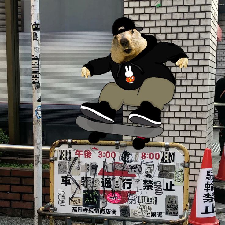 GroundhogMunch's tweet image. 🛹
