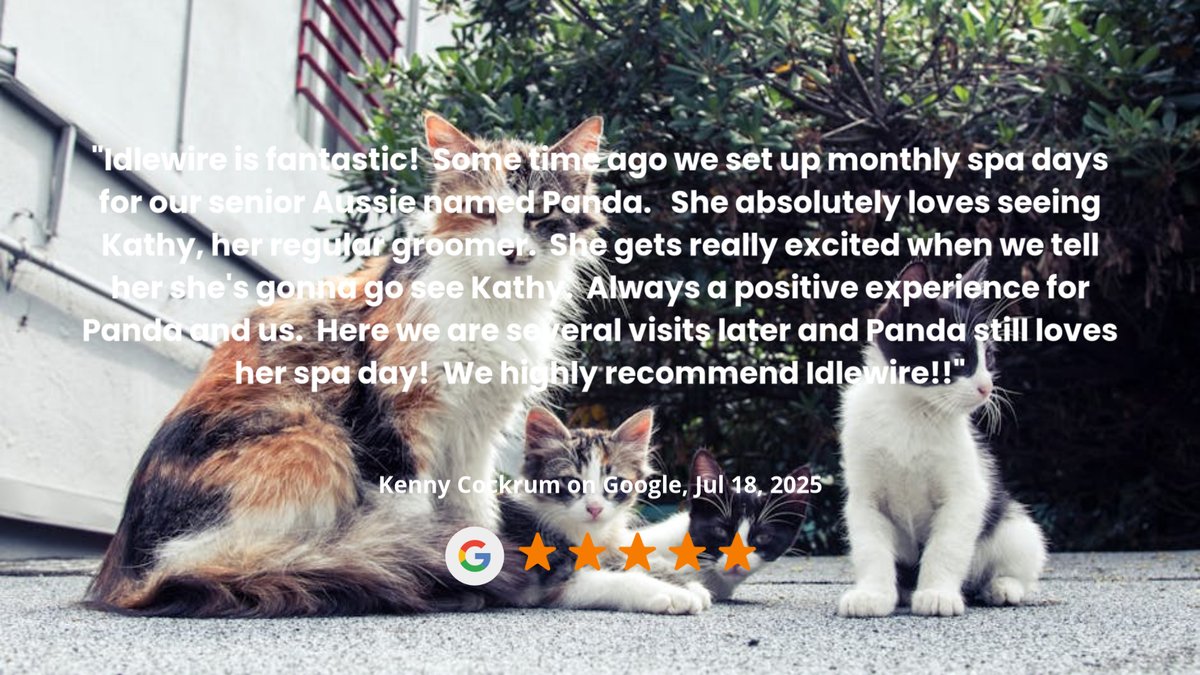 idlewirepetcare's tweet photo. https://t.co/pvCjawCPan