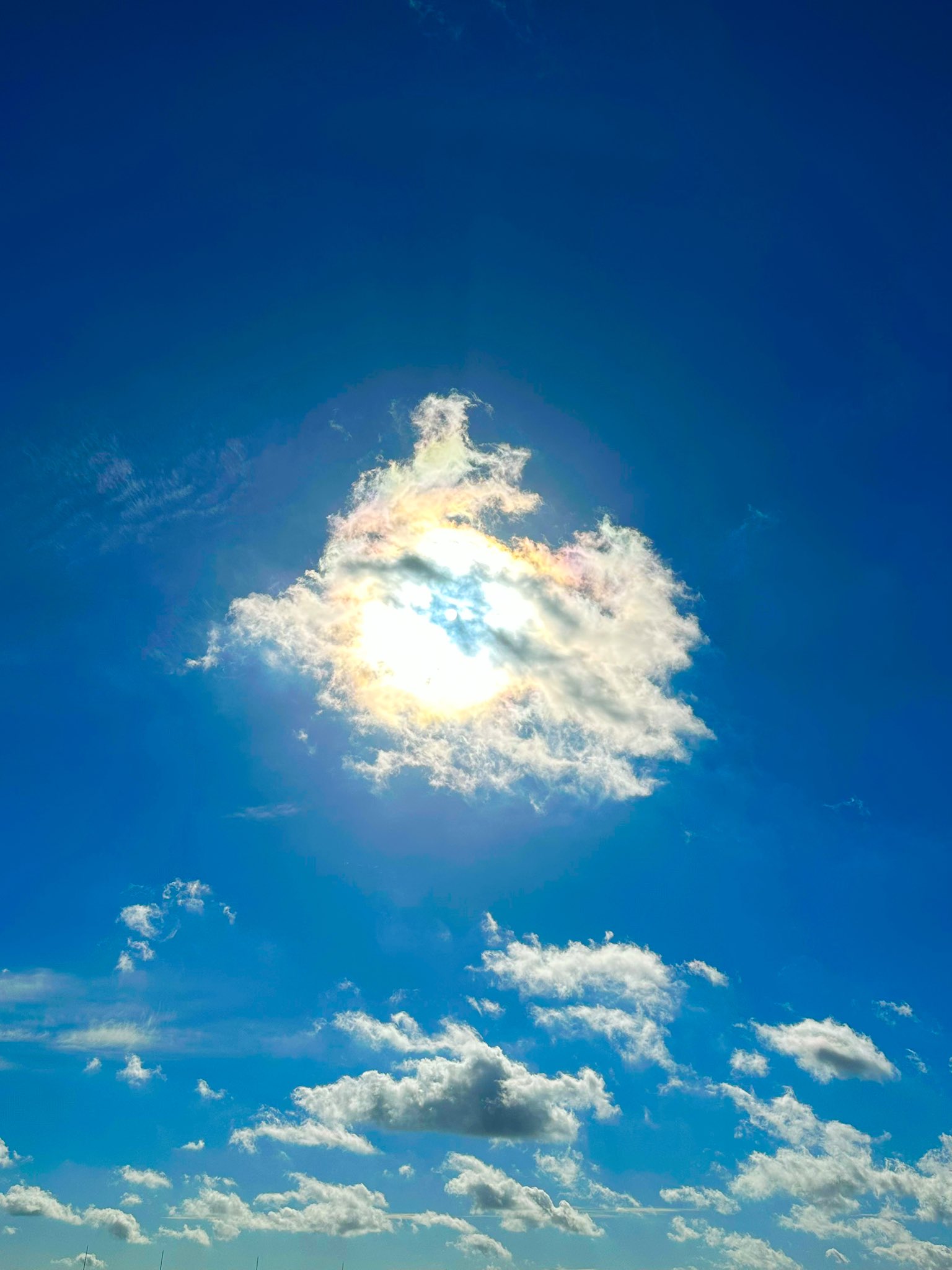 ◆空◆荒木孝介 直送 新品 SM【パステル・色鉛筆等】◆丁寧梱包◆風景画 雲 EVkFzqIUEAYCei0.jpg:large