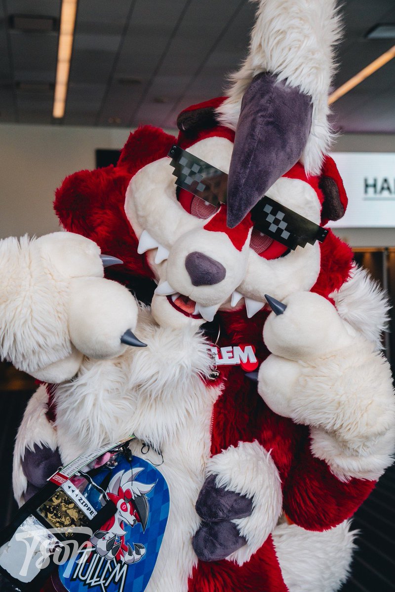 Hey! Tullem here!

#FursuitFriday 

📸<a href="/tsopvr/">Tsop 🔜 AFC</a>
