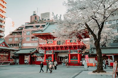Boom time. Tourists continue to flock to #Japan. #travel #tourism #JNTO. gourmetontheroad.com/2025/07/touris…