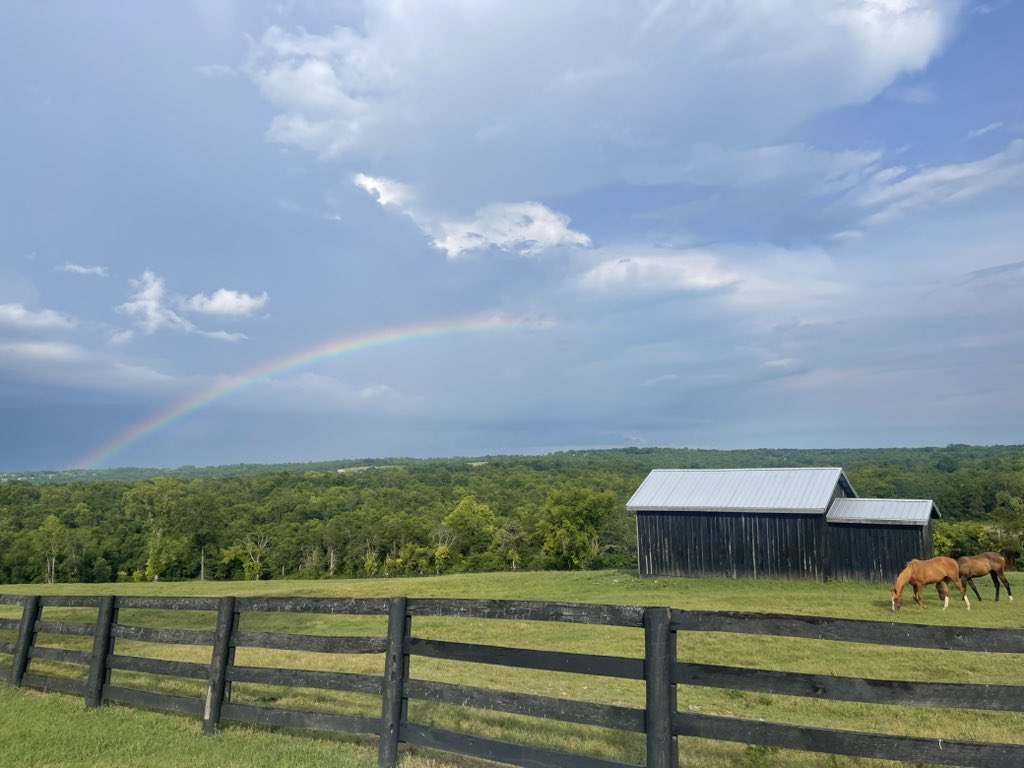 George Shunnara tweet media
