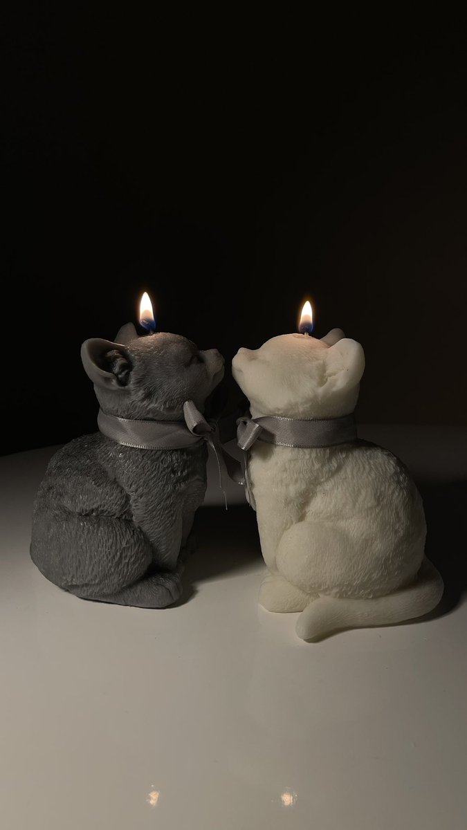 najdalkenani's tweet image. شمعة Meow 🐈‍⬛🕯️