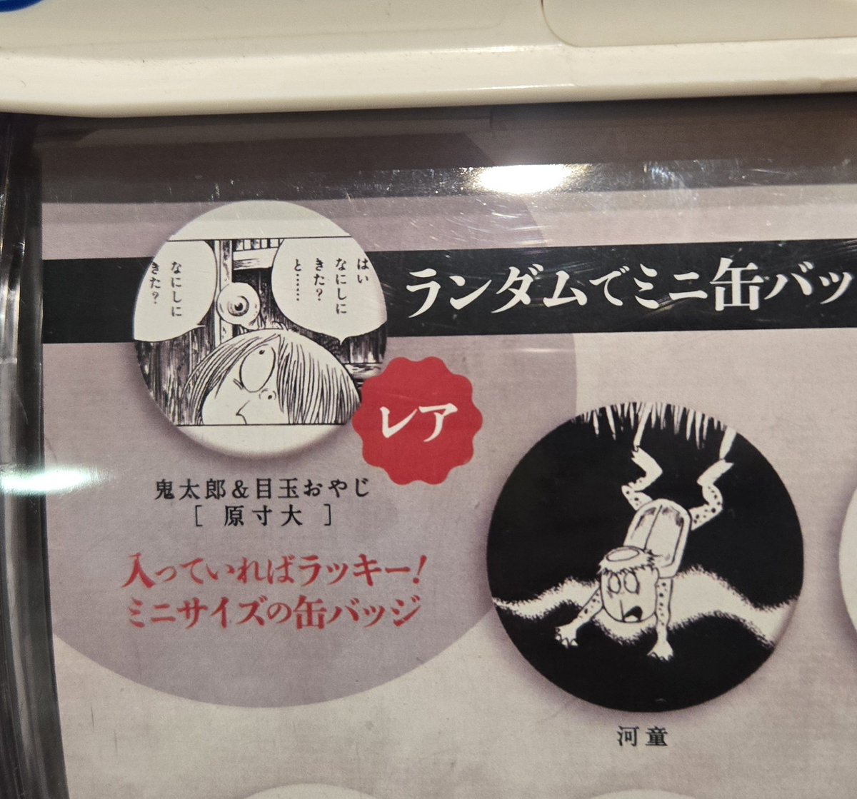 北海道会場から始まったこちらの限定缶バッジ、レアだけ揃ってなかった
