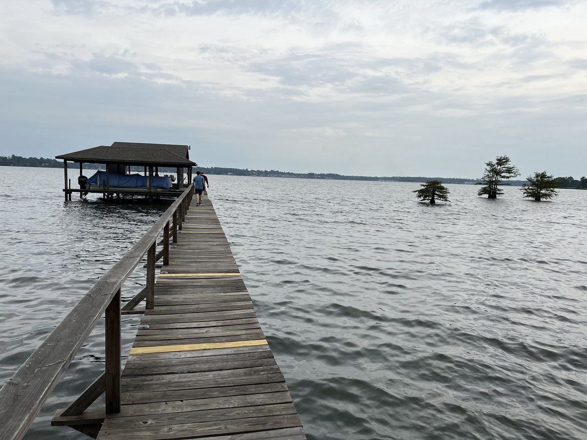 Louisiana has gators, I’m told. Will report back if not eaten.