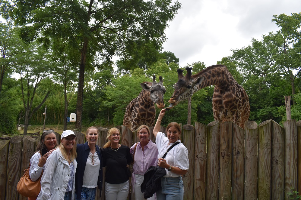 CincinnatiZoo's tweet image. Go behind the scenes at the Cincinnati Zoo! Elephant Bath, Girafternoon, and VIPenguin tours are available for booking! cincinnatizoo.org/plan-your-adve…