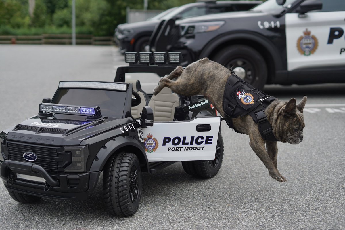 PortMoodyPD's tweet photo. Happy Friday #portmoody! We are debuting our newest &amp; smallest police car at Rocky Point Park all weekend for @pomoribfest! Be sure to pop by &amp; say hello 👋 

Shout-out to Reggie for modelling the car for us 🐶 https://t.co/1nYONvndvO