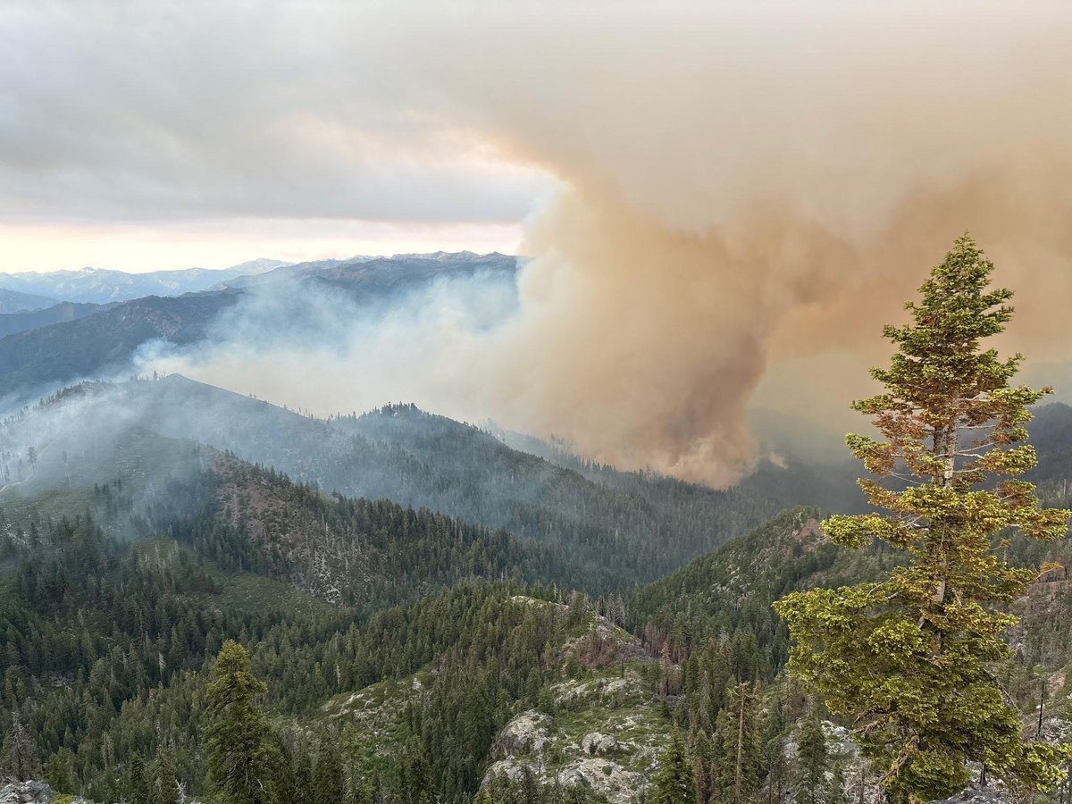 CAWildfiretrack's tweet image. Yesterday; the #ButlerFire spotted over the Salmon River, growing to about 300 acres during the day. Later that night, the fire jumped a contingency line completed the day before.
The spot fire now sits at around 700 acres and growing.
#cafire