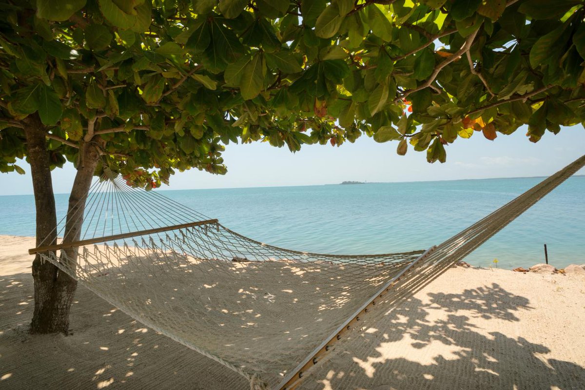 Gecko Vacation Rentals tweet media