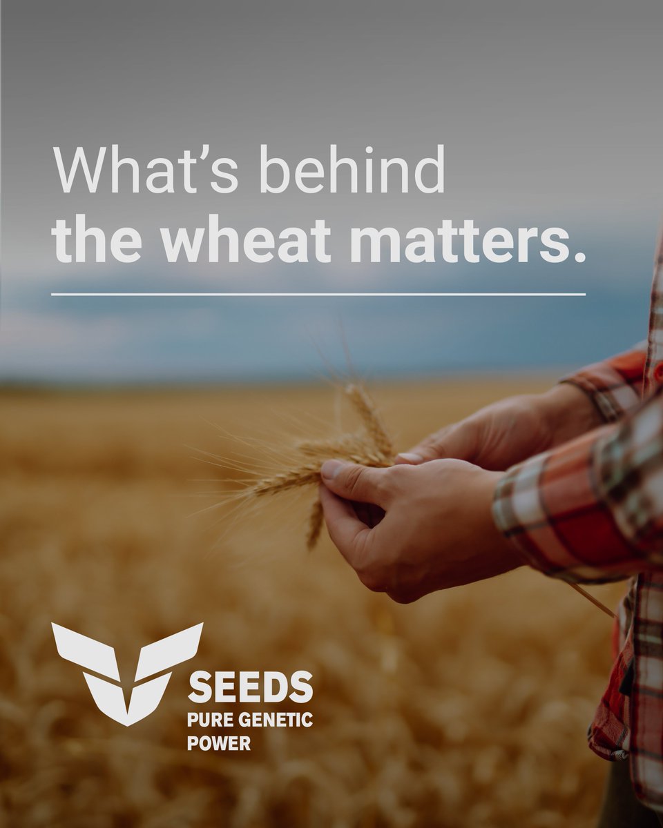 virtueseeds tweet picture