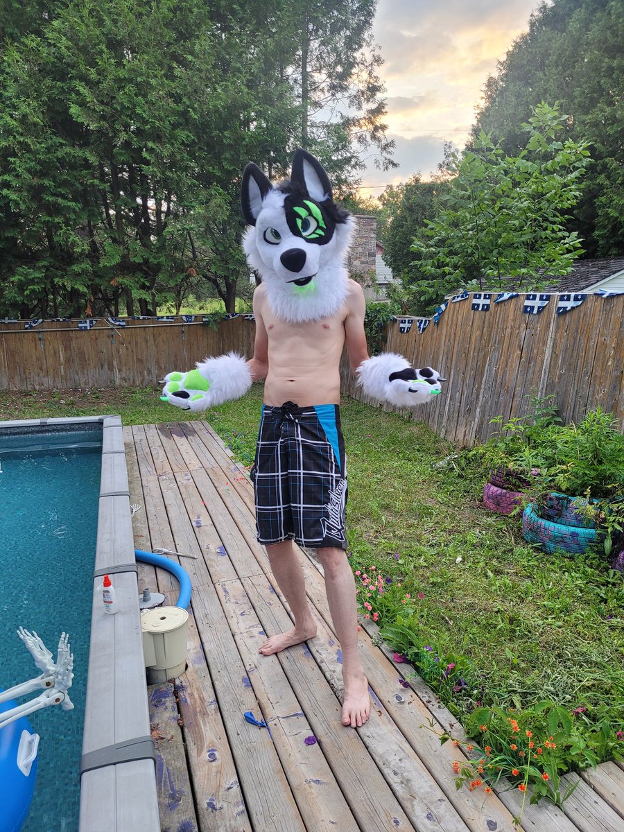 KybaCWC's tweet image. Happy #FursuitFriday
It's a pool time !!!
And say hello to my new Head made by myself -CwC-
The fullsuit is also made but too hot to wear it XD
🪡 by CurlyWags creations
