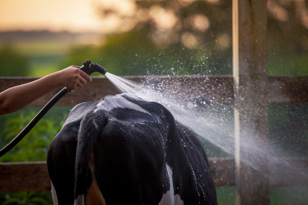 Michael π (@michaeljconti) on Twitter photo Wisconsin Dells Wisconsin Dells