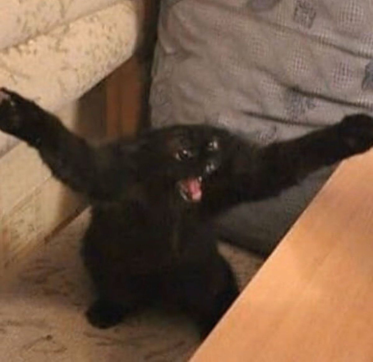 how i be coming for all the mgk haters