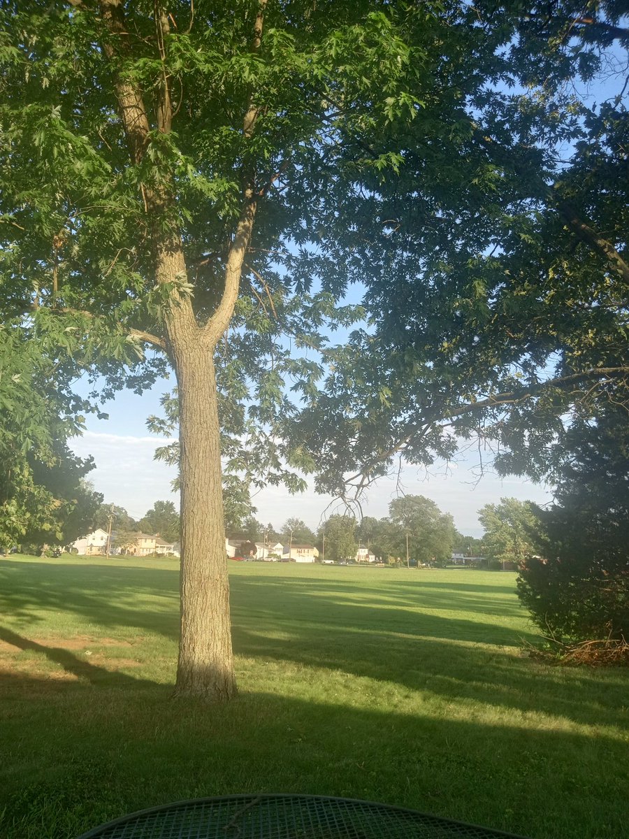 JohnnyLoveless's tweet image. It's so nice out.
Get off the couch, and go outside, and let's talk shit about Trump from outside amongst nature.