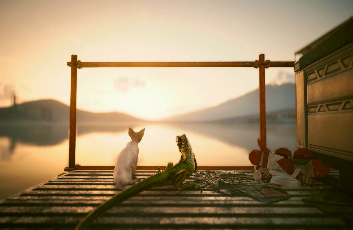shion_daikon66's tweet photo. GM〰️🌅Iguana＆Nibbles🐈‍⬛
#Cyberpunk2077 https://t.co/RbVSCwRcOt