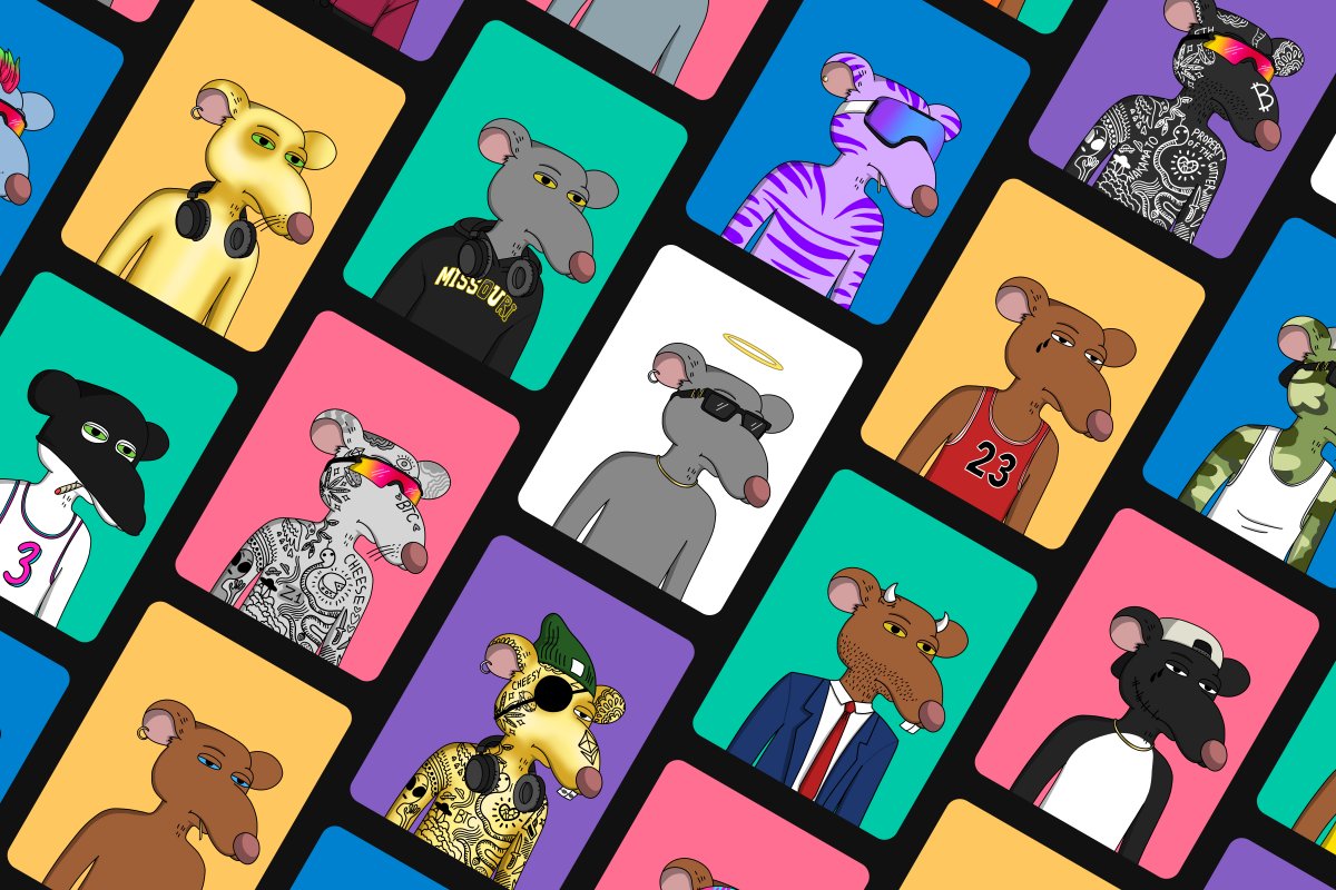 Gutter Cat Gang tweet media