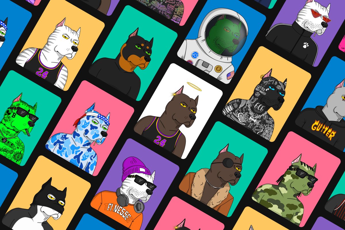 Gutter Cat Gang tweet media