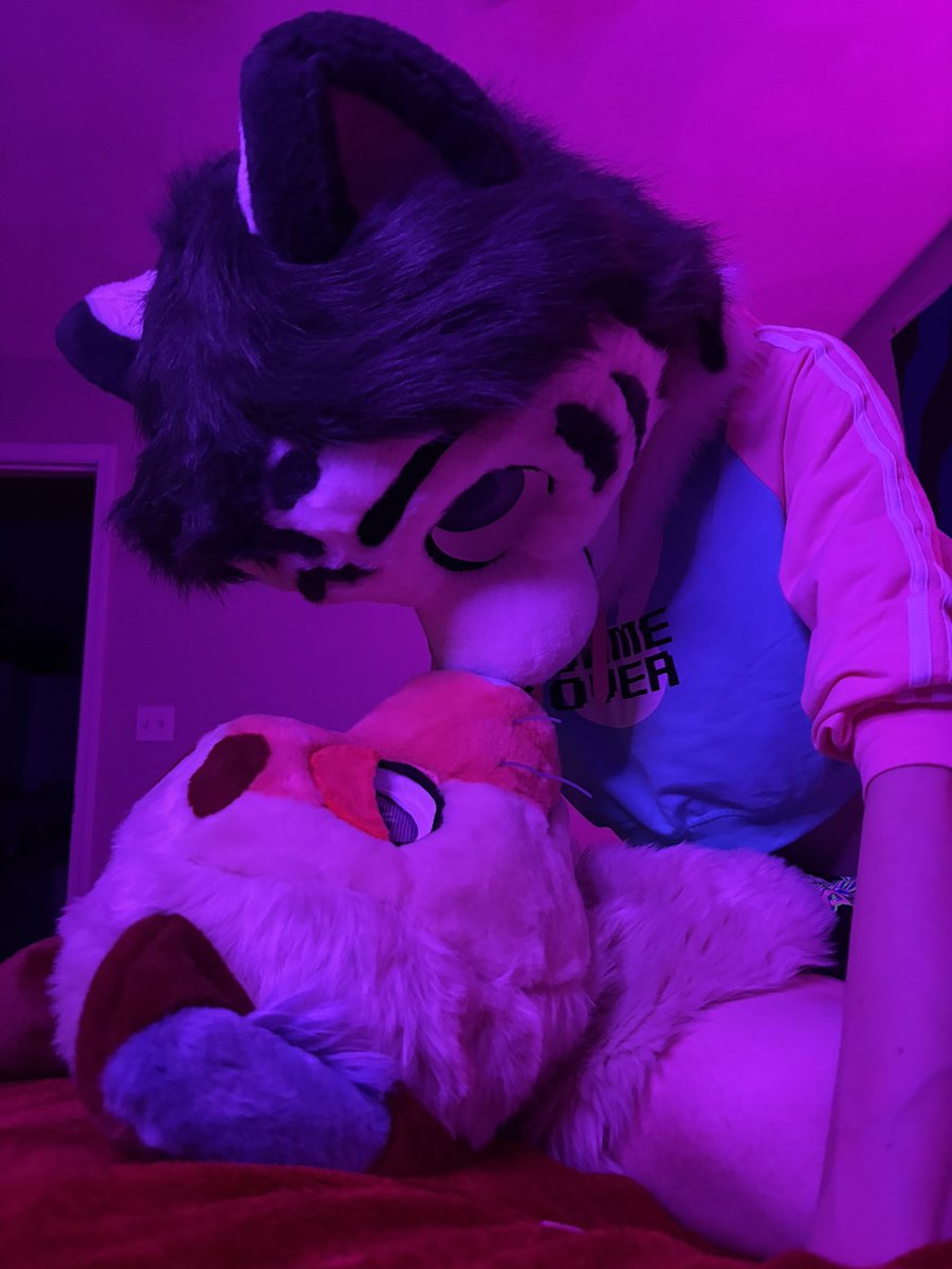 Happy #FursuitFriday Got to spend some quality time with the cutest kitty~
 
w/ <a href="/hornyca7/">hornycat</a> 

📸 - <a href="/BunnyApollo/">Apollo Bunny</a> 

#furry #fursuit