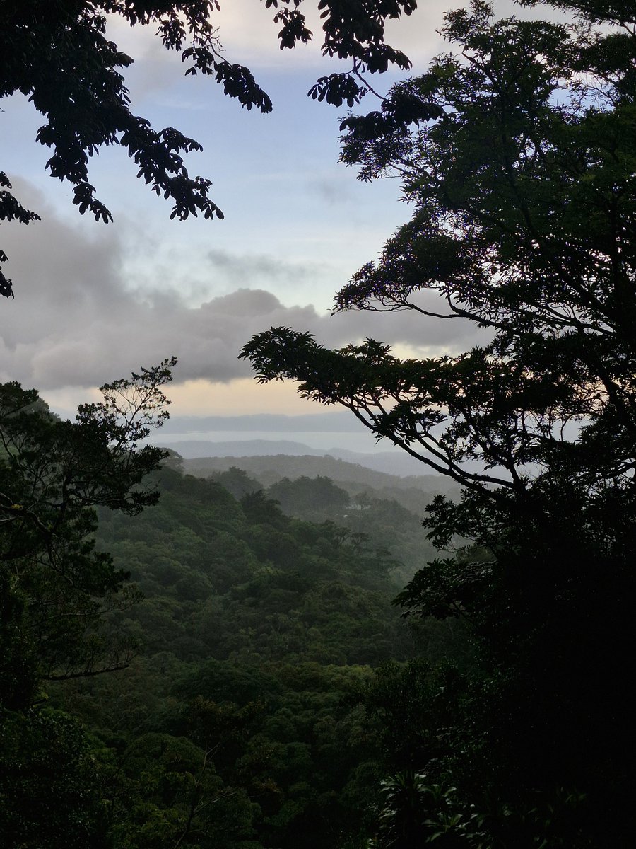 mdshawkey's tweet image. View for the next few weeks