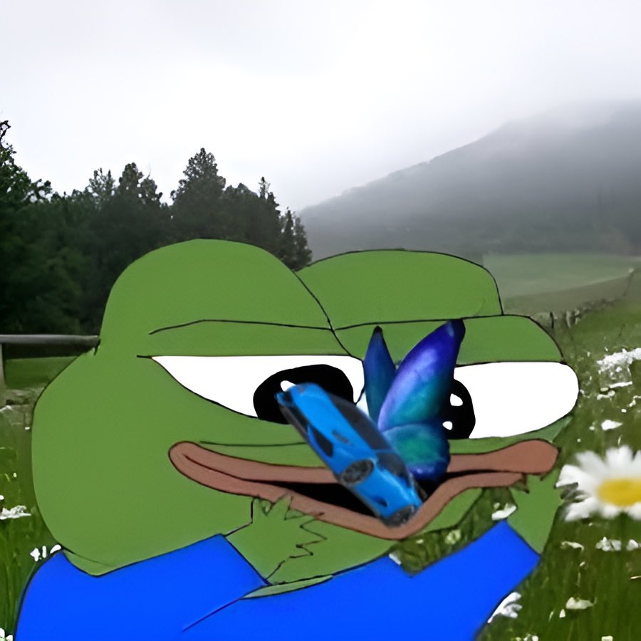 avaxLAMBO's tweet image. 🦋🚪