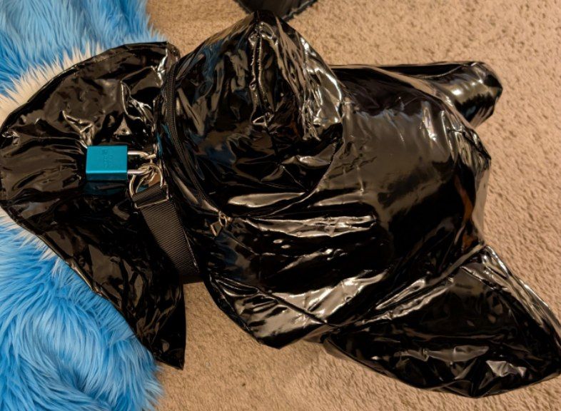 fizzy husky tweet media