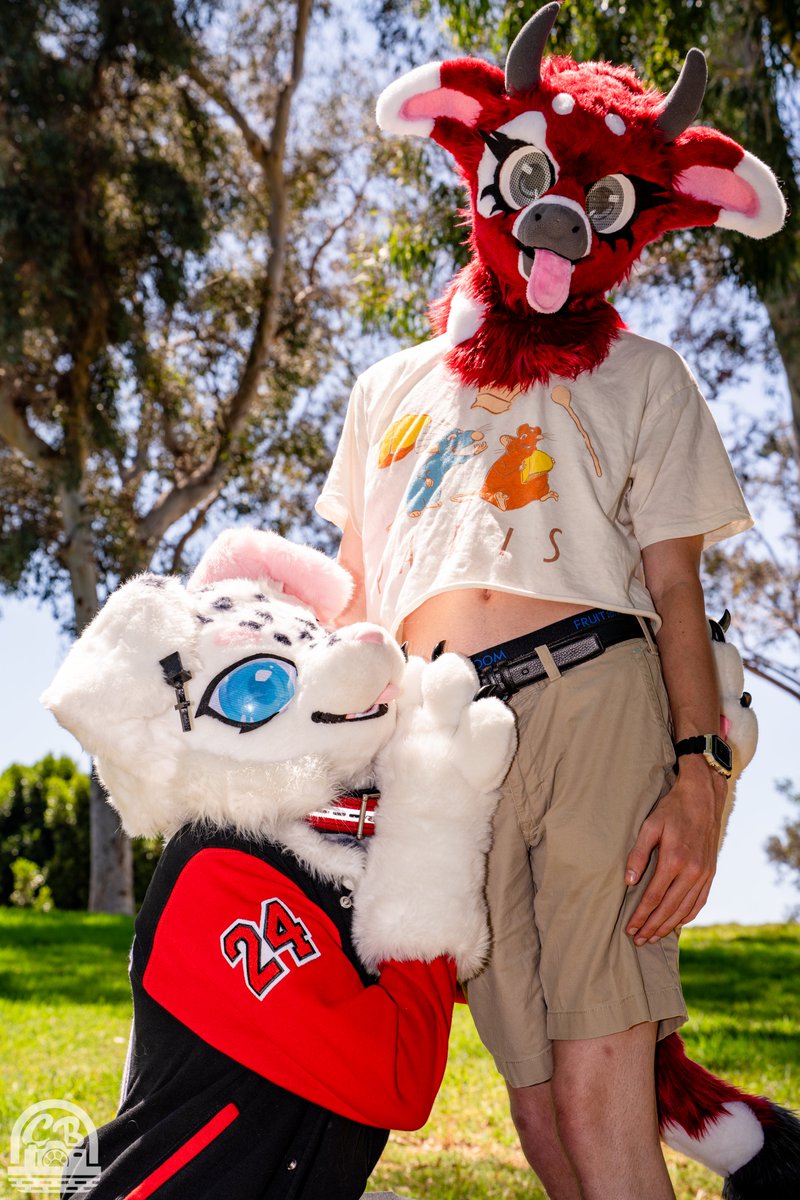 Bo_plap's tweet image. #FursuitFriday at the last itty bitty meet