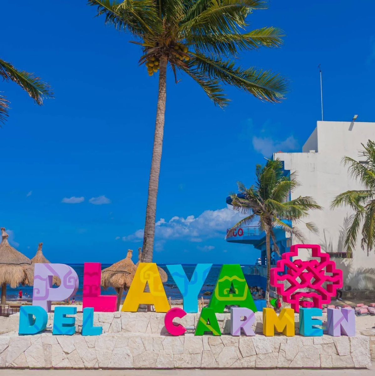 TwittPlaya's tweet photo. #PlayadelCarmen #LetsPlaya https://t.co/kkly1oKQ2z