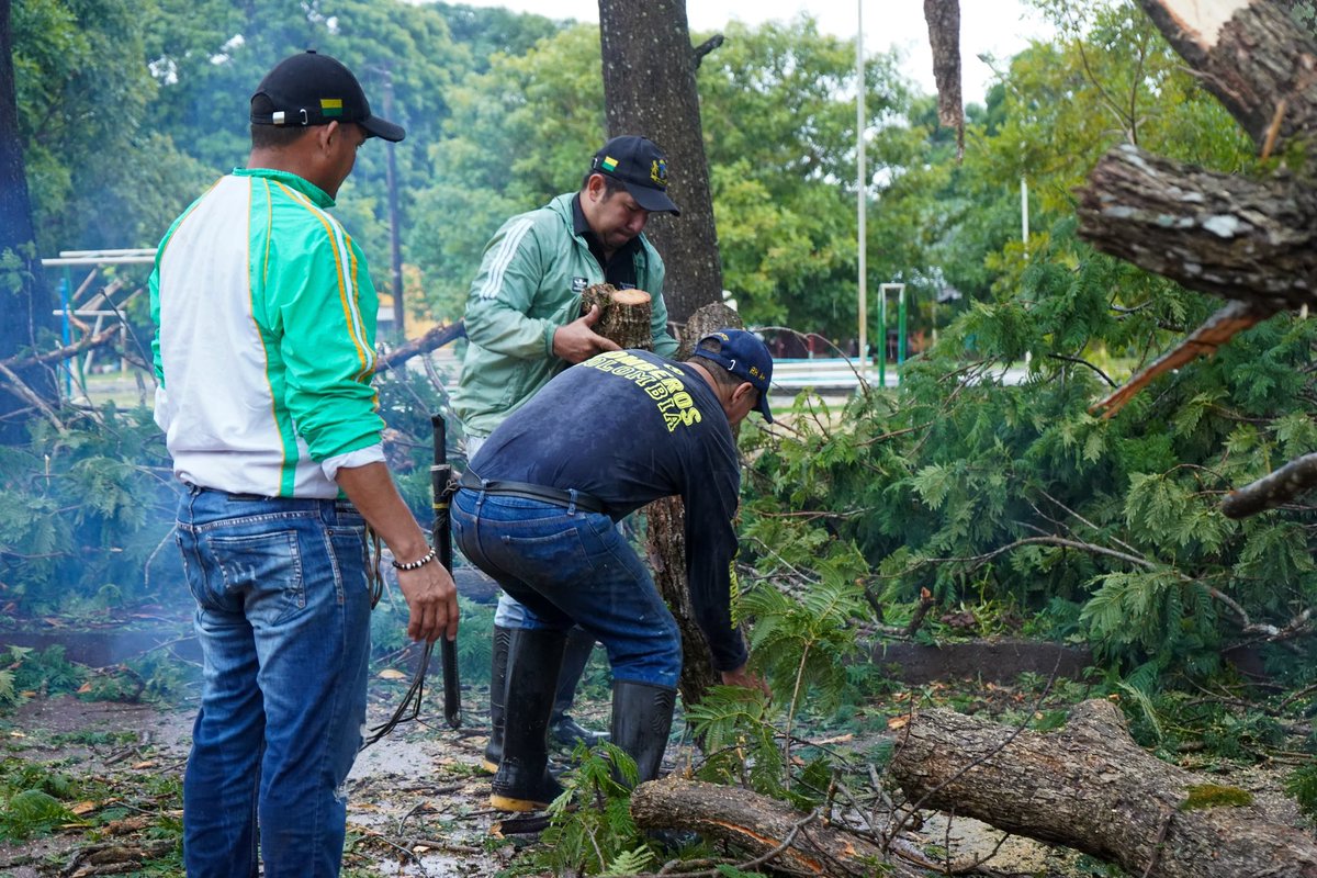 ¡La respuesta es la unidad! 📷📷
Tras el fuerte vendaval que afectó a Puerto Carreño, desde la Gobernación de Vichada agradecemos y reconocemos el compromiso de quienes han estado al frente de esta emergencia. 📷