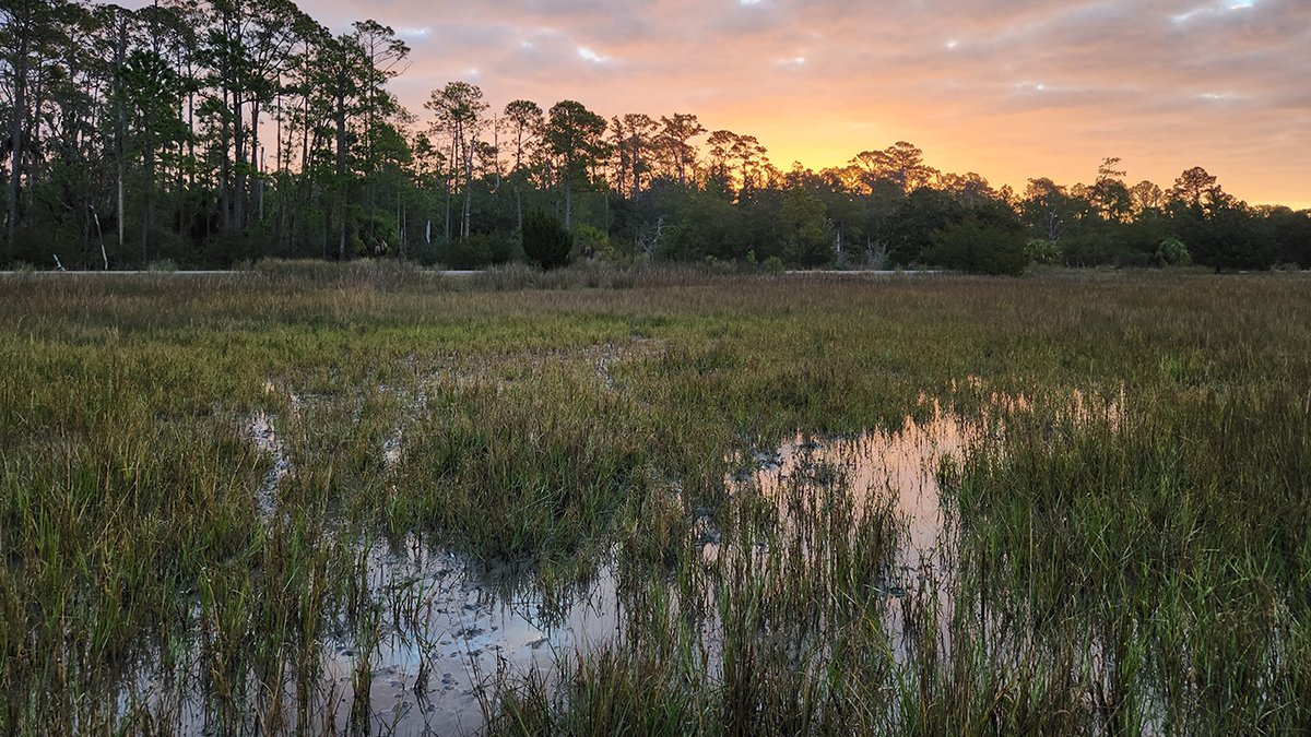 GlobalCmd's tweet photo. 🌿 AI is detecting hidden early indicators of marsh decline—offering new tools to protect vital ecosystems.
🔗 https://t.co/scQdBcK21l
#AI #ClimateTech #EnvironmentalAI #Sustainability https://t.co/4wNHezEVio